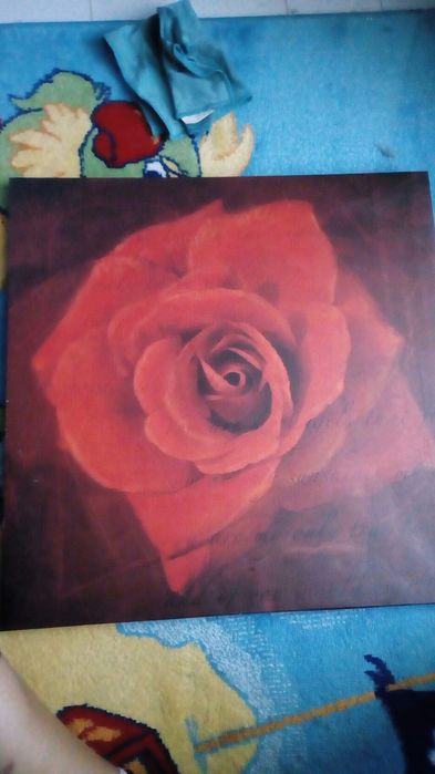 Tablouri tip canvas