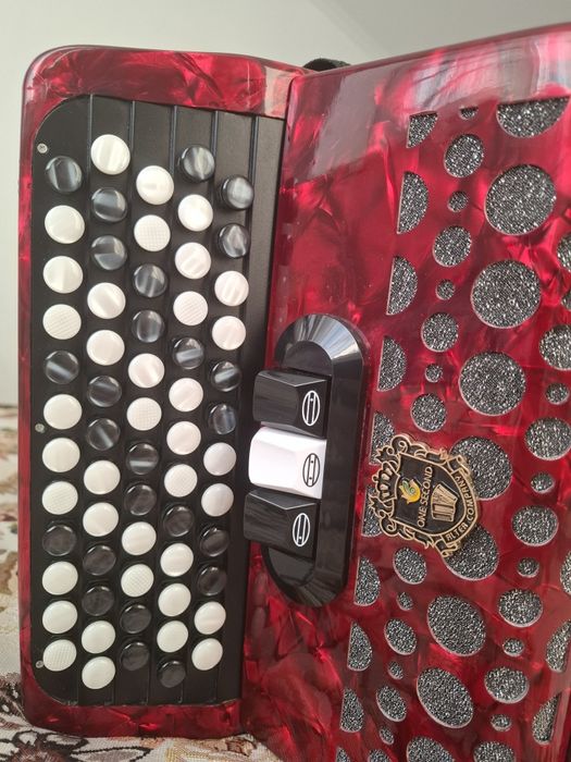 Баян инстурмент...