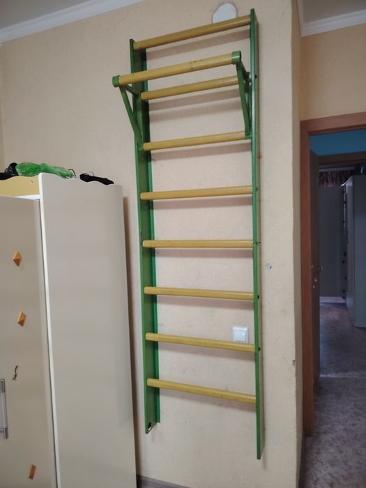 Шведская стенка с турником