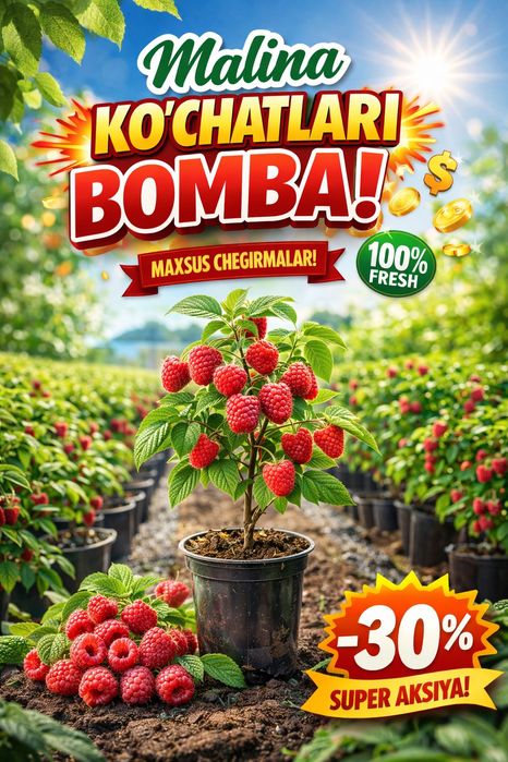 Malina Maravila Polka Palana