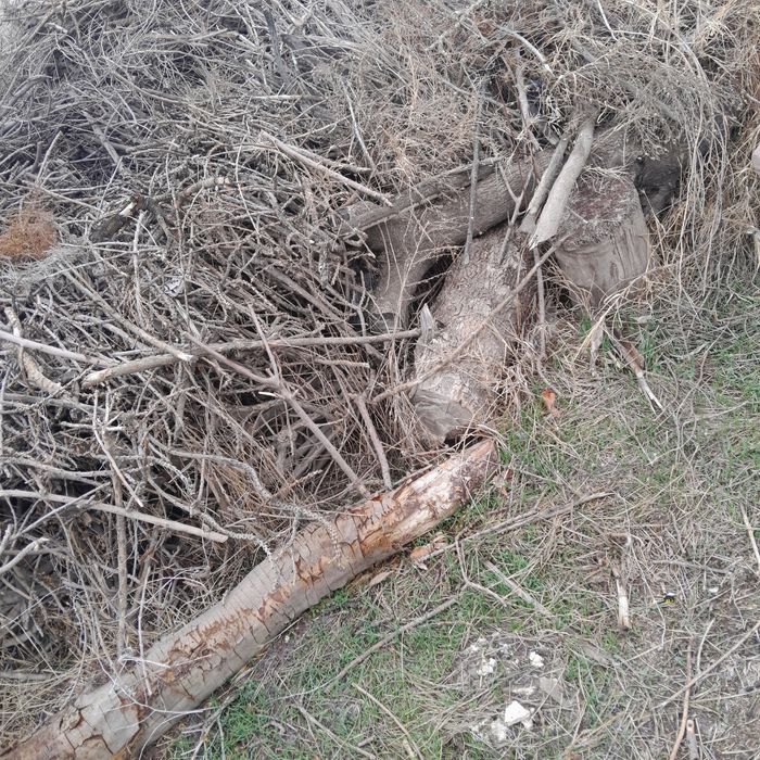 Курик утинлар сотилади