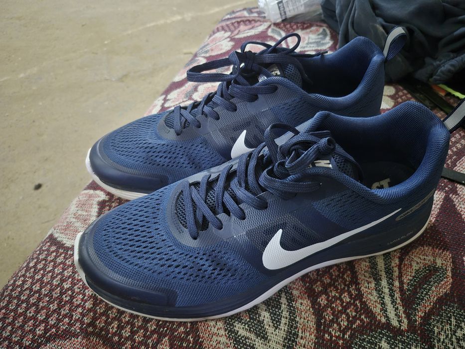 Красовка летние наик