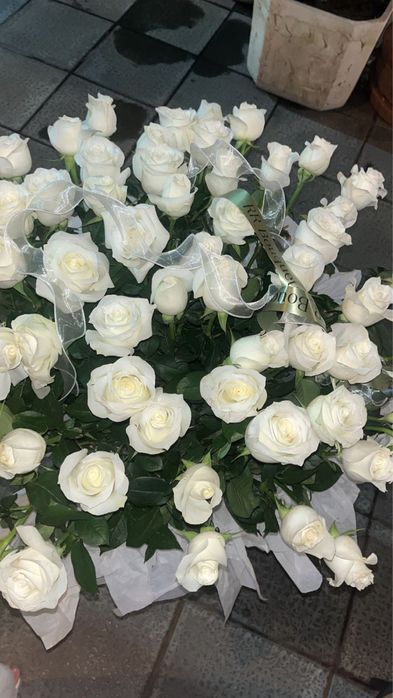 Голандски ақ роза ,60 шт свежий