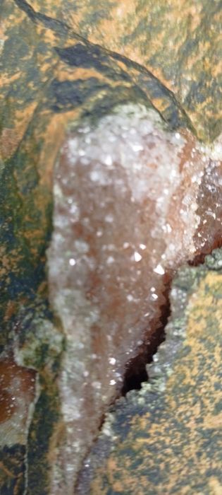 Окаменелое дерево