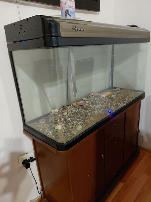 Аквариум.         -