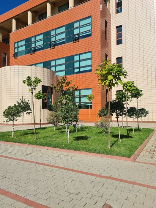 Amenajare Gradina - Gazon Rulouri - Iarba Verde - Peluza