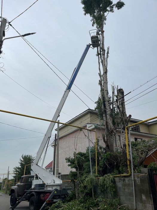 Услуги вип автовышки