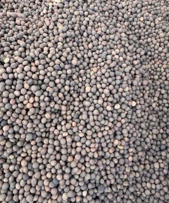 Sămânță Lucerna Certificata, Trifoi, Sparceta, Mazariche, iarba, Amestec furajer, Grau, Orz, Triticale