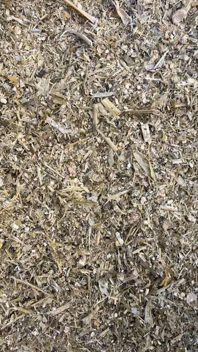 Кукурузный силос