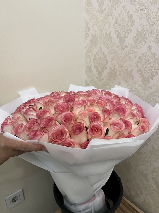 101 Роза Розовые