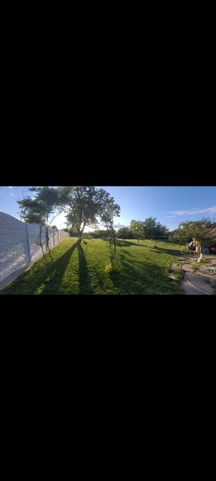 Întreținere spații verzi/gazon abonament/curățare presiune