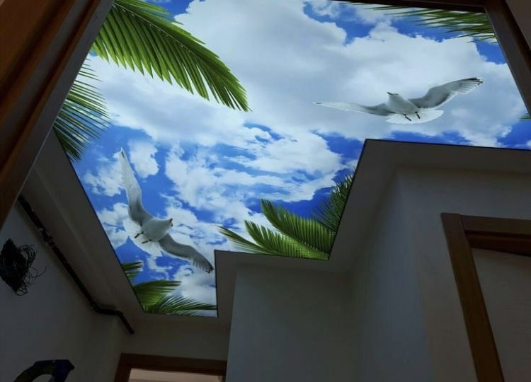 Tavane extensibile 3D, Fototapet personalizat