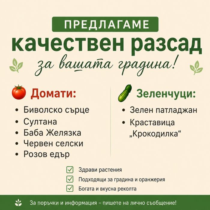 Разсад  с.Карапелит