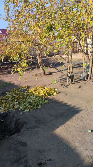 Уборка территорий прополка огорода
