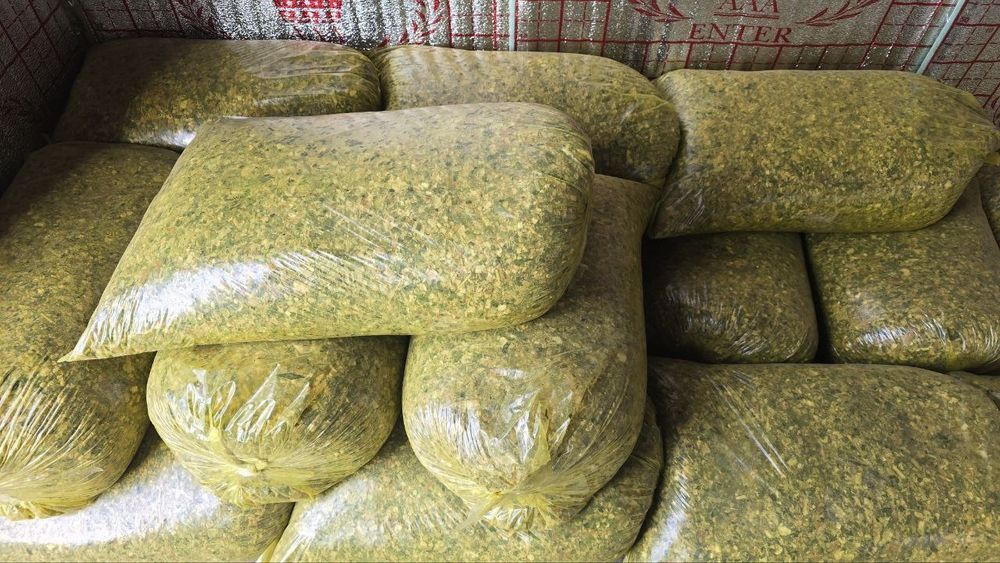 Selos sotamiz optom.