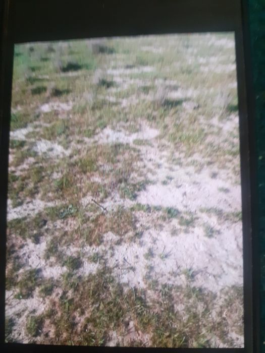 6-sotixli yer sotiladi