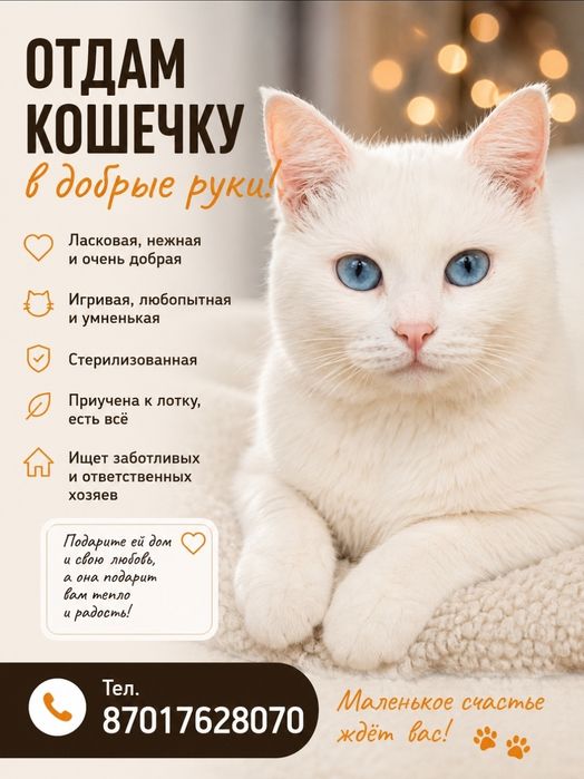 Пристраиваеться в хорошие руки