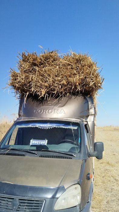 Камыс сатылады 400тенгеден