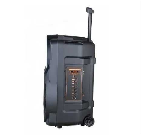 Караоке Тонколона NDR-P08 с Bluetooth , микрофон и Цветомузика