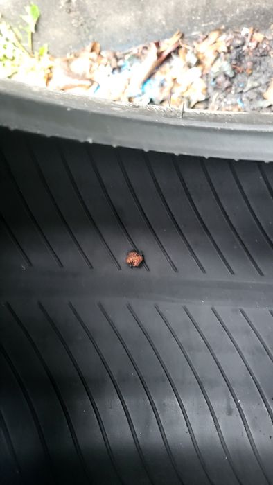 205/65r15 94v Cauciucuri de vara