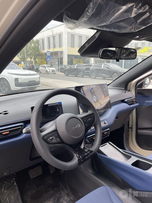 Byd seagull 2026