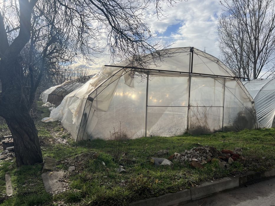 Асеновградски оранжерии