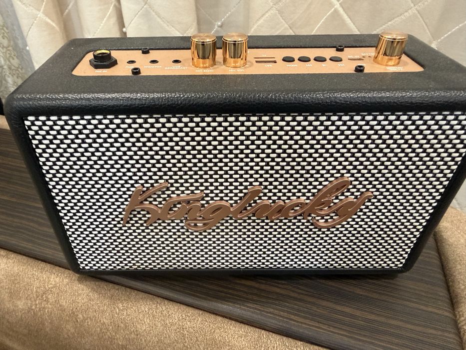 Колонка с двумя микрофонами