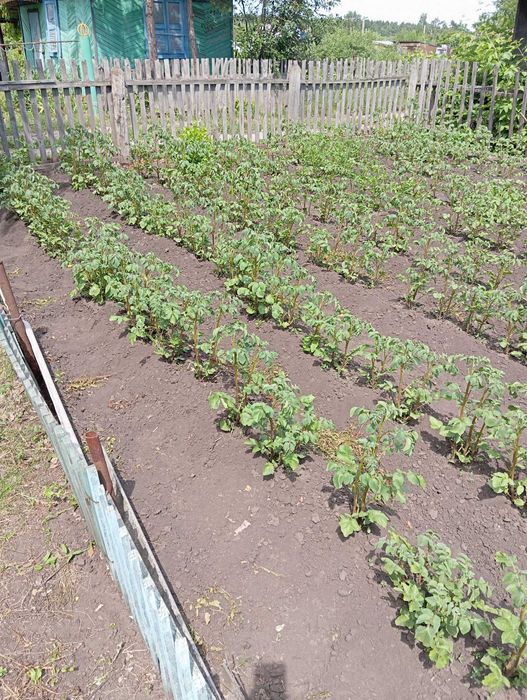 Продажа дачи. Сообщество "гудок"