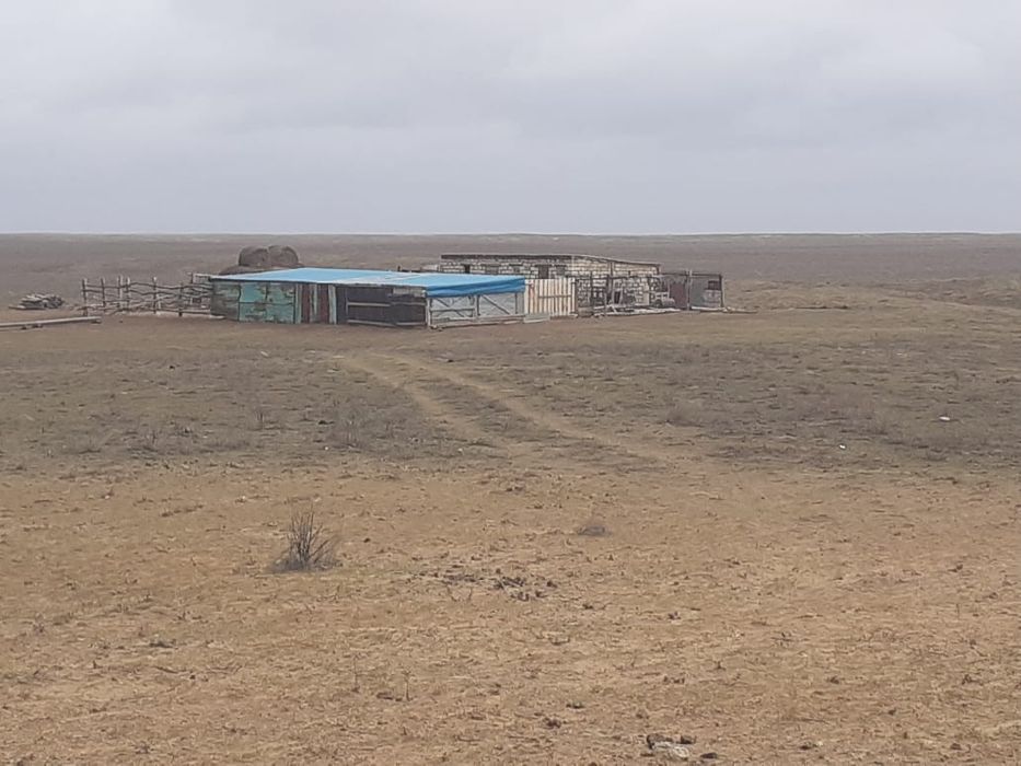 Сельское хозяйство