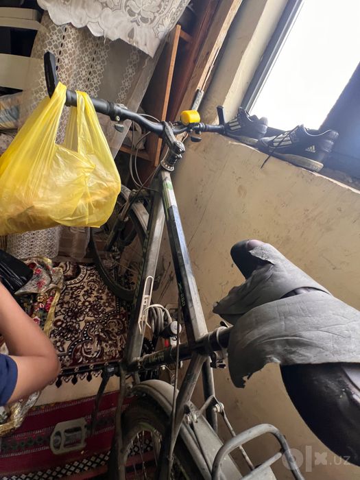Velosiped skarasnoy