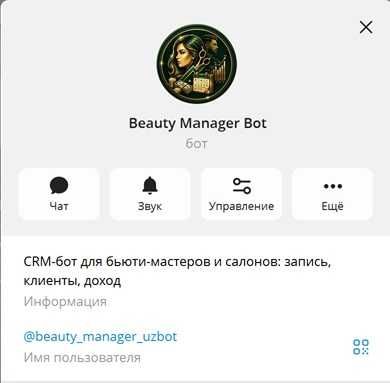 IT-бизнес проект — Beauty Manager Bot (Telegram CRM)