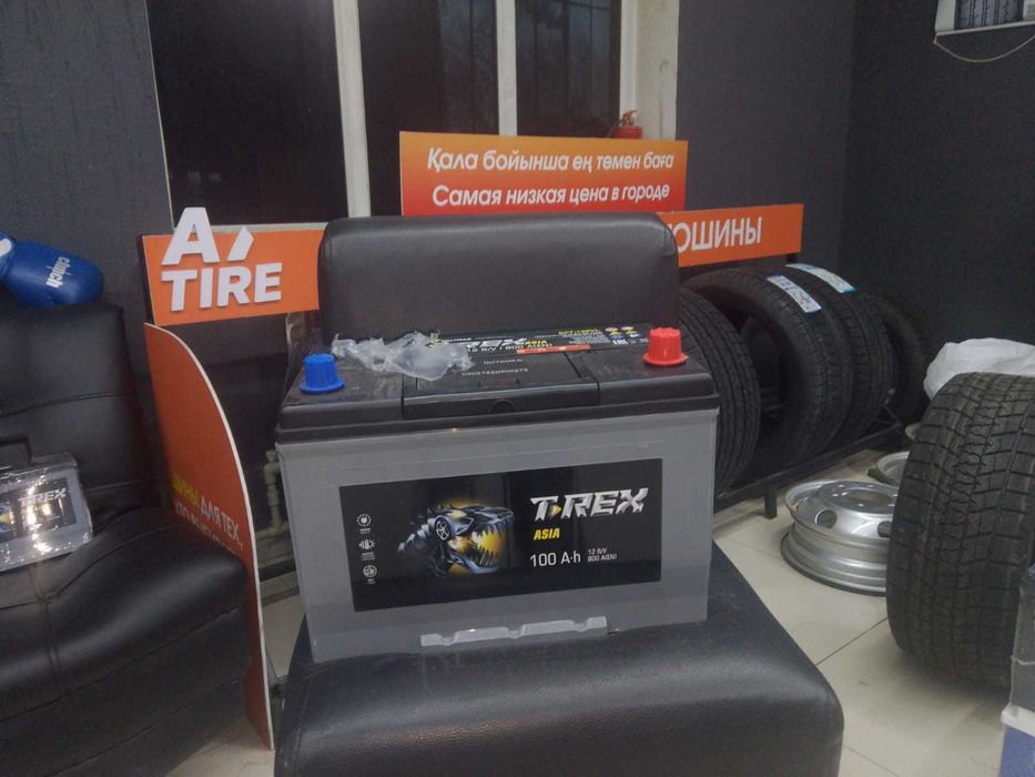 Аккумулятор TREX Asia 100A/Ч 800A(EN) 12B/V