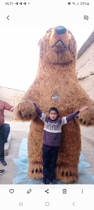 Aeq Katta ayiqlar айик