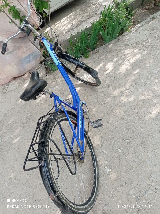 Velosiped Ardis velik 2022 yil