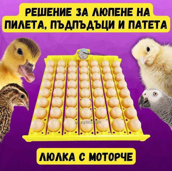 Промо пакет! Инкубатор 56/154 яйца + нагревателна плоча
