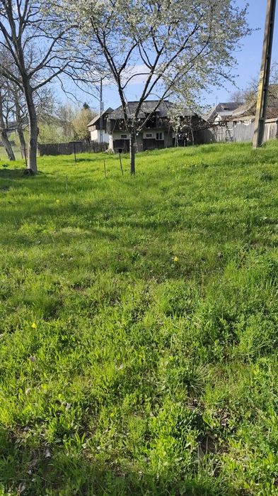 Teren intravilan in Crăcăoani, judetul Neamț
