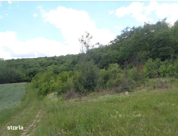 Teren extravilan com.Dragesti, jud.Bihor