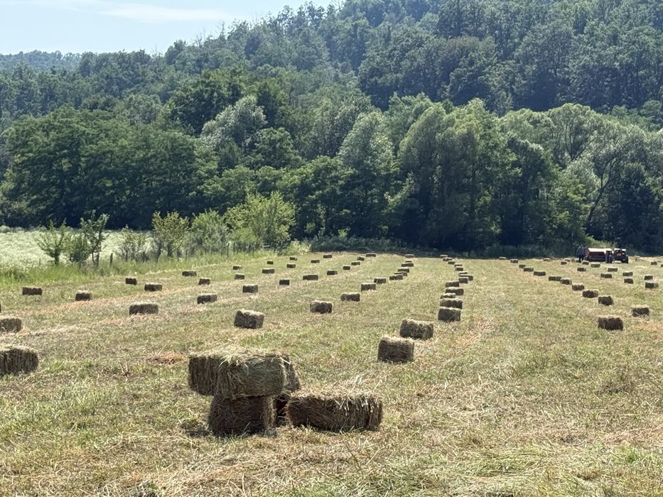 Baloți de fân noi!