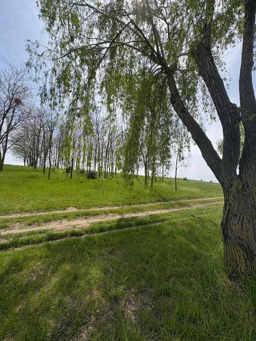 Teren 4 ha cu deschidere la lac langa padure de salcami