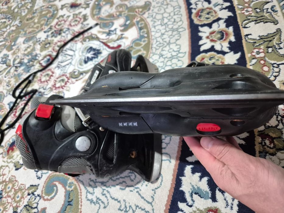 Коньки не зоточины