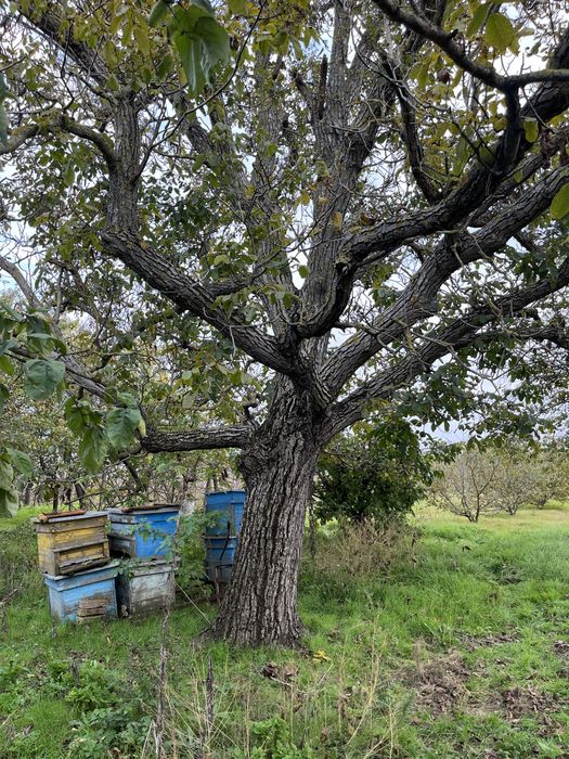 Продава се Къща в Добрич, Център - 100 кв.м за 281 €/кв.м - Снимка #2