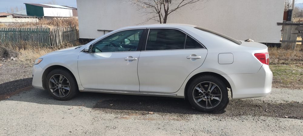 Комплект диск с ризиной