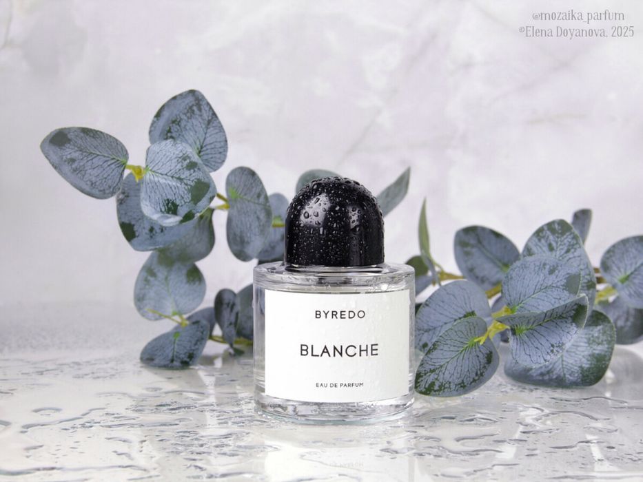 Blanche Byredo оригинал
