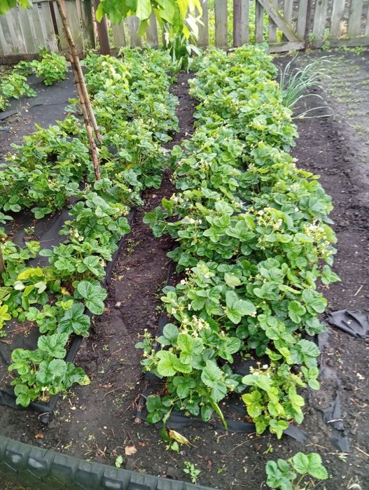 Продам жилой частный дом