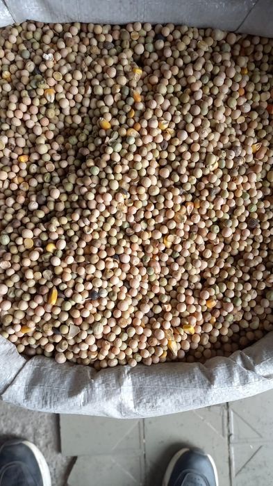 Реализуем зерновые культуры