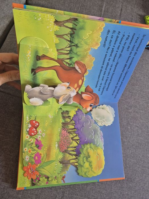 Carte editura Crisan