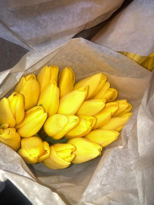 Тюльпаны в розницу от 550тг.