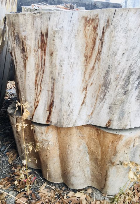 Спилы - Тополя …..