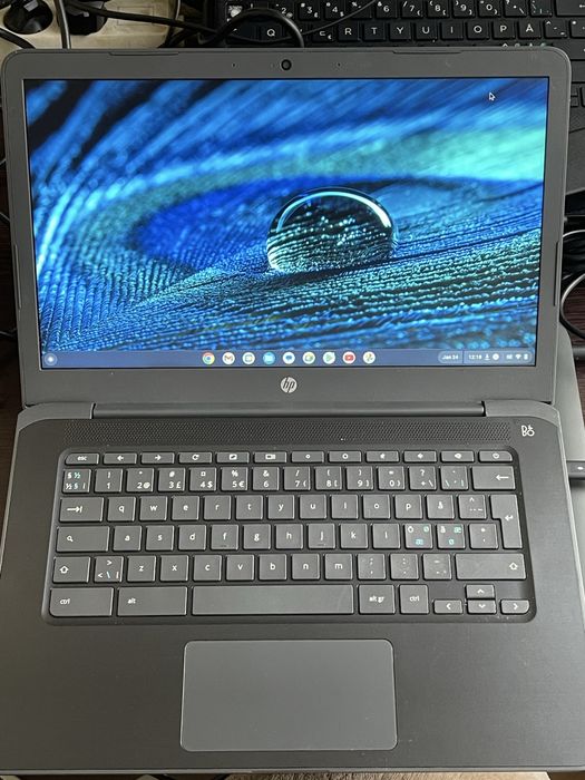 laptop hp cromebook