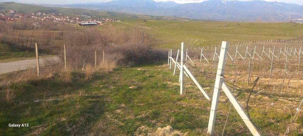 Продава се Земеделски имот в с. Левуново, Област Благоевград -  кв.м за 10200 €/дка - Снимка #3
